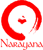 Narayana Campus